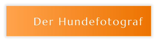 Der Hundefotograf